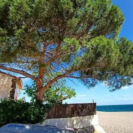 Duplex Avec Parking Securise - 5 Pers. - Fr-1-776-155 Argelès-sur-Mer